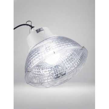 Cargo Light CGD4‑BL (E40 Lamp Head + All‑Plastic Housing)