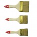 Paint Brushes & Roller