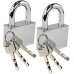 Batteries and Locks